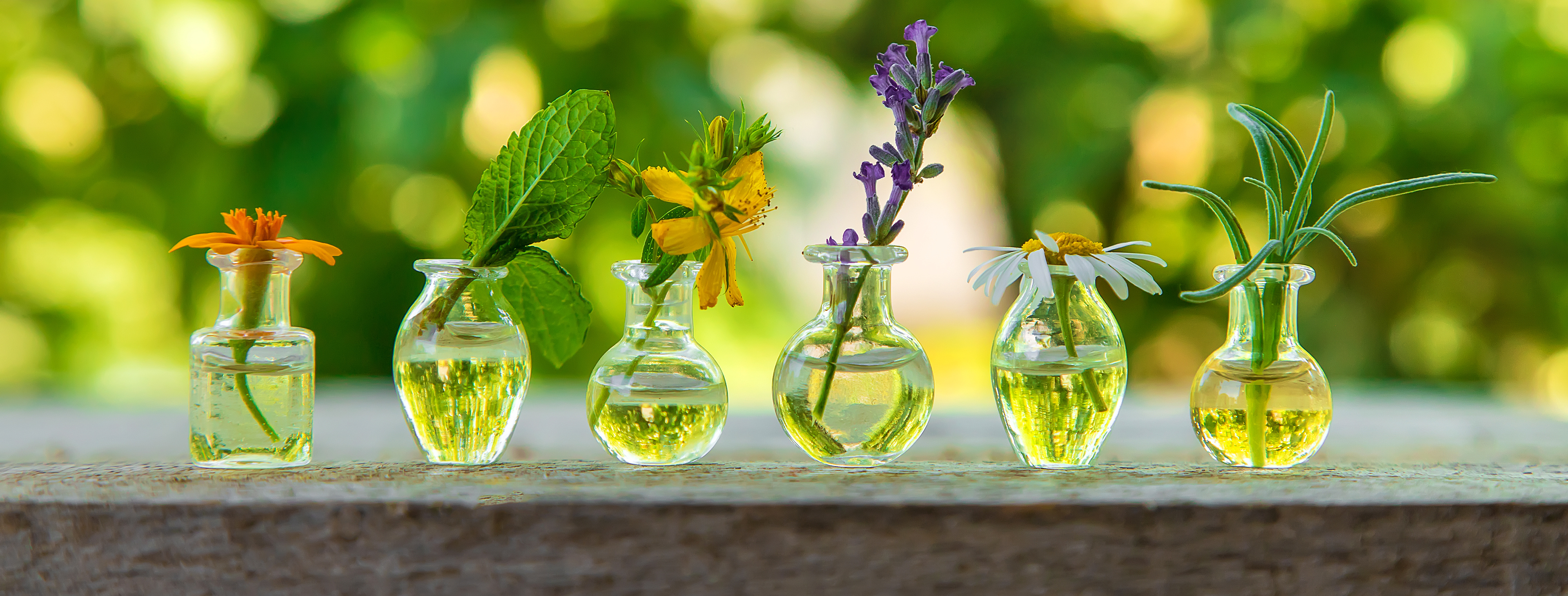 PlanTherapie (Plant Therapy)