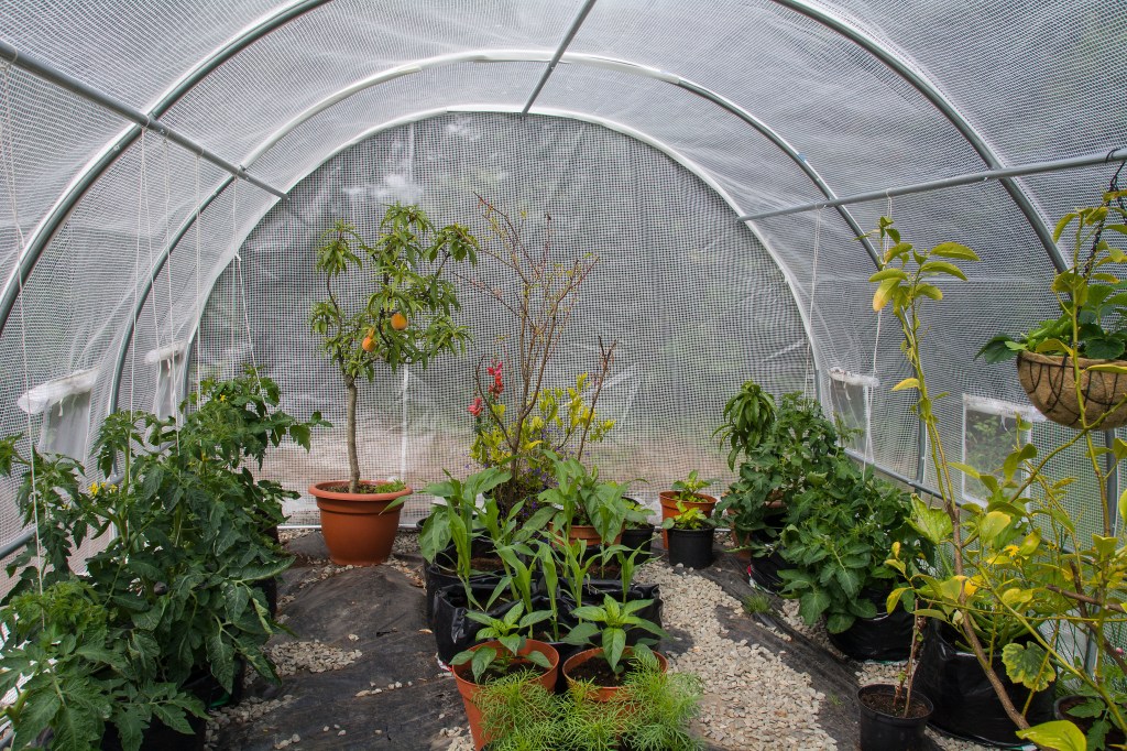 Prepping for the Fall&nbsp;Garden