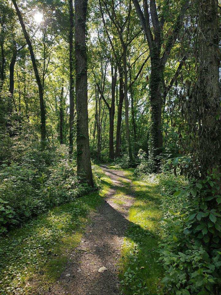 Good (Home) Forestry&nbsp;Practices