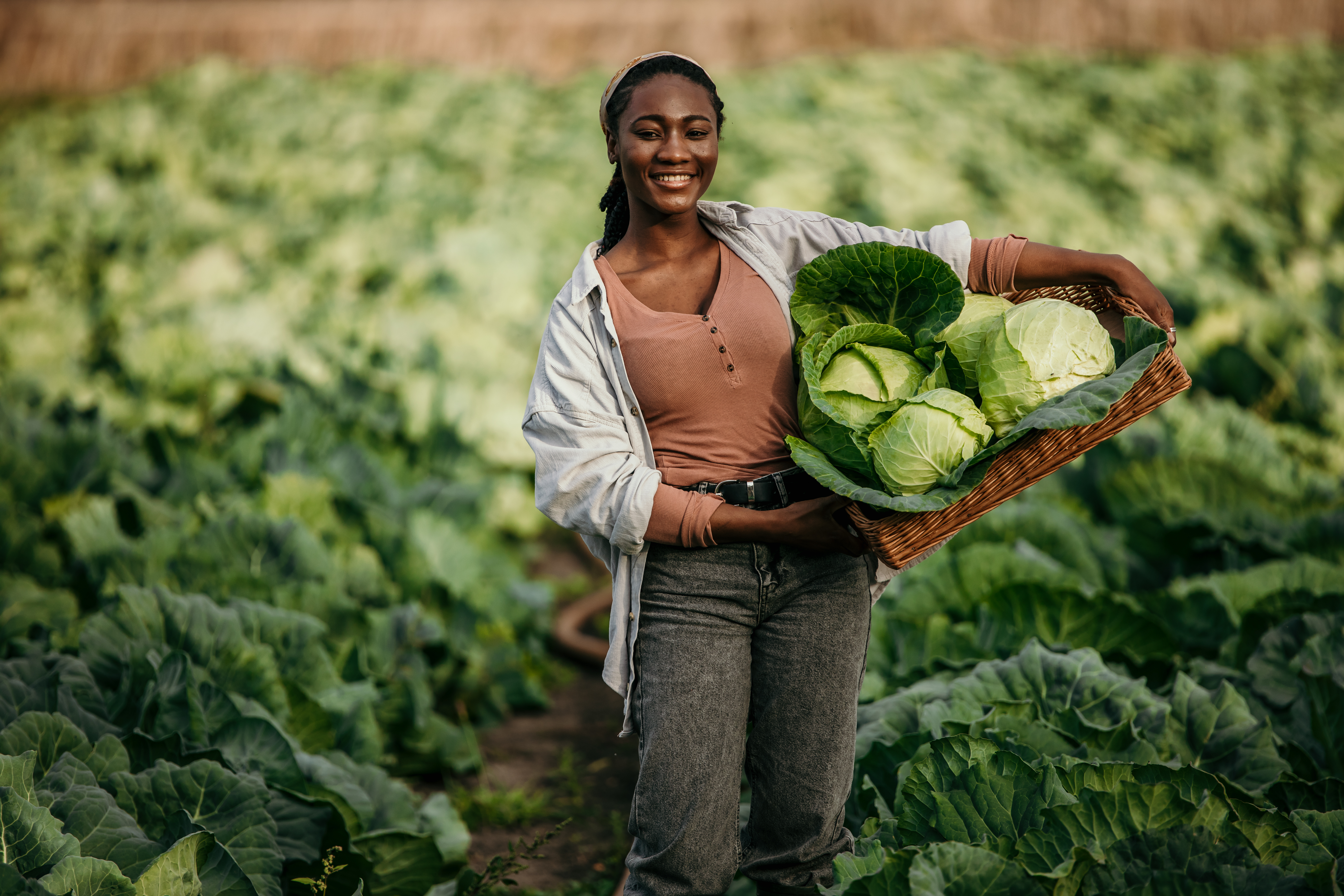 Agricultural Contributions