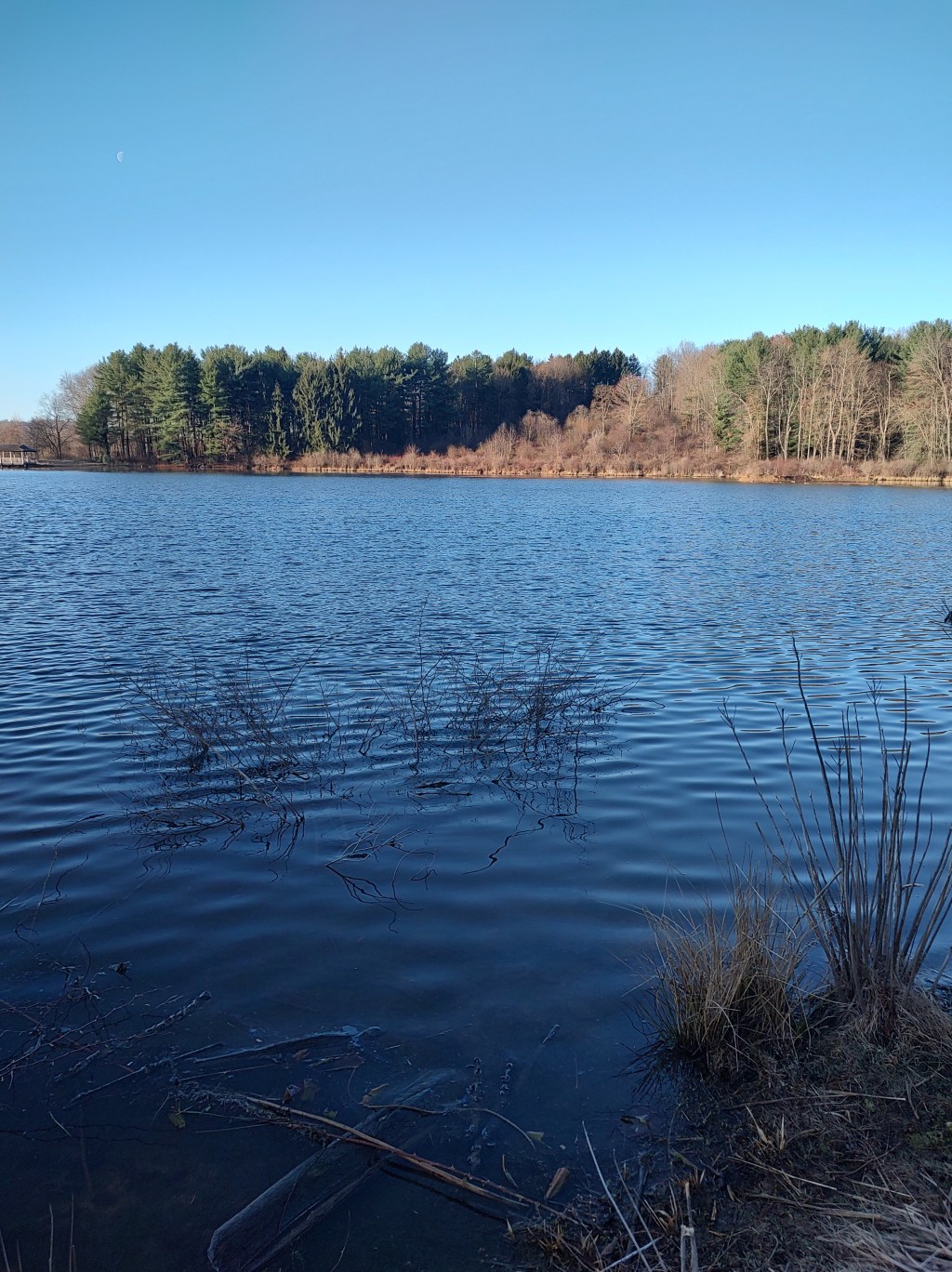 What’ve we got to&nbsp;lose?