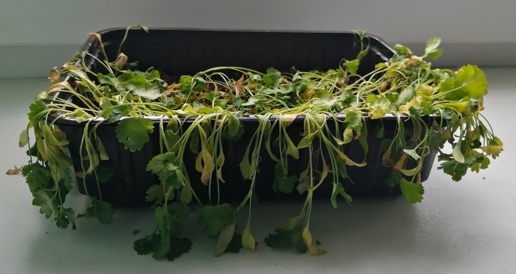 Down for the count (but not&nbsp;out)