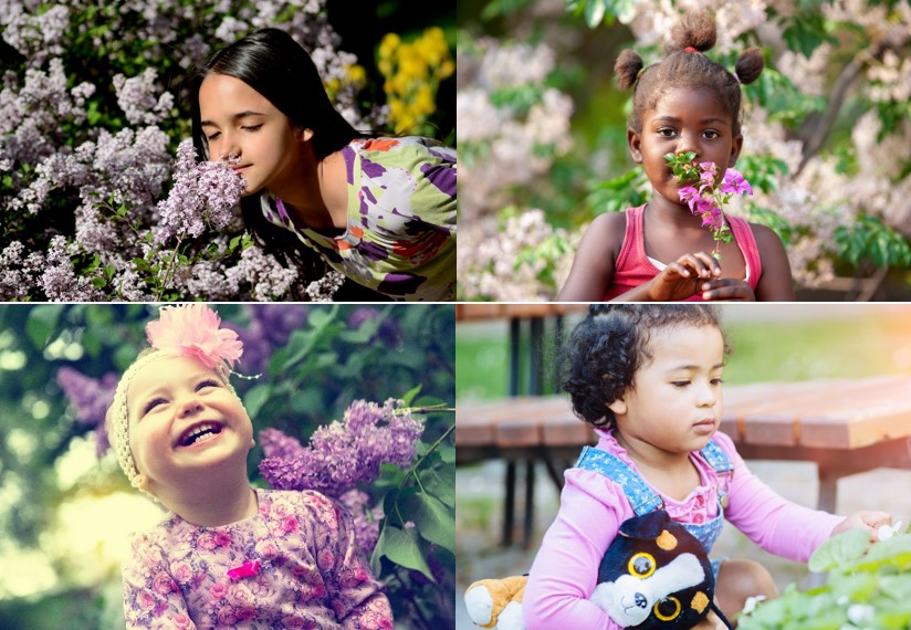 The Lilacs