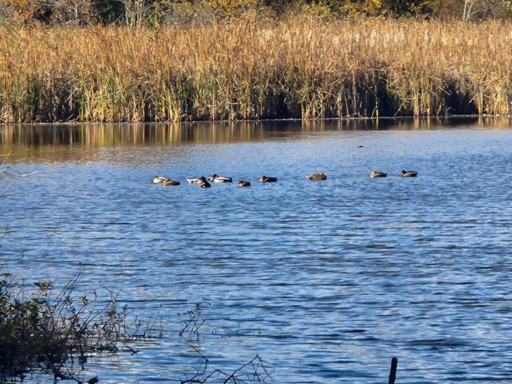 Enjoy it as long as you&nbsp;can