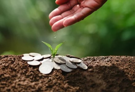 Climate Change Up Close &&nbsp;Personal