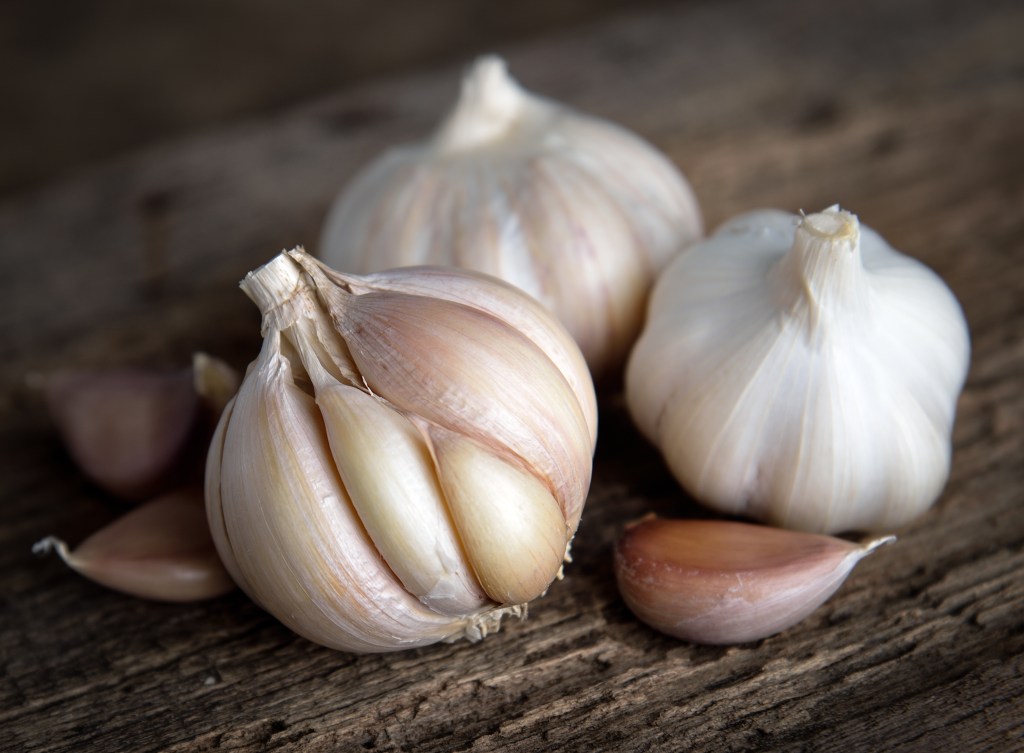 How fresh is the&nbsp;garlic?