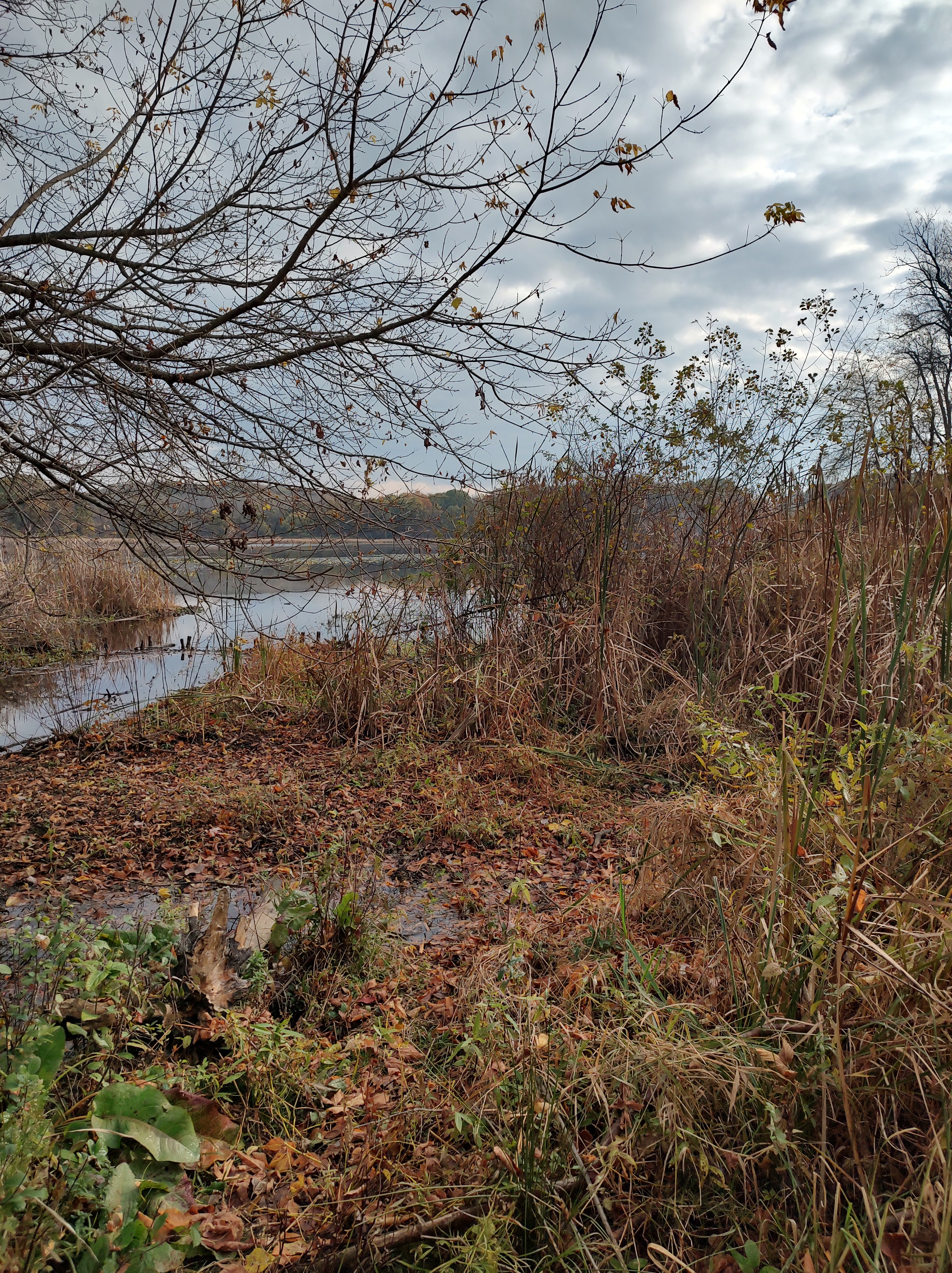 Clean water starts here
