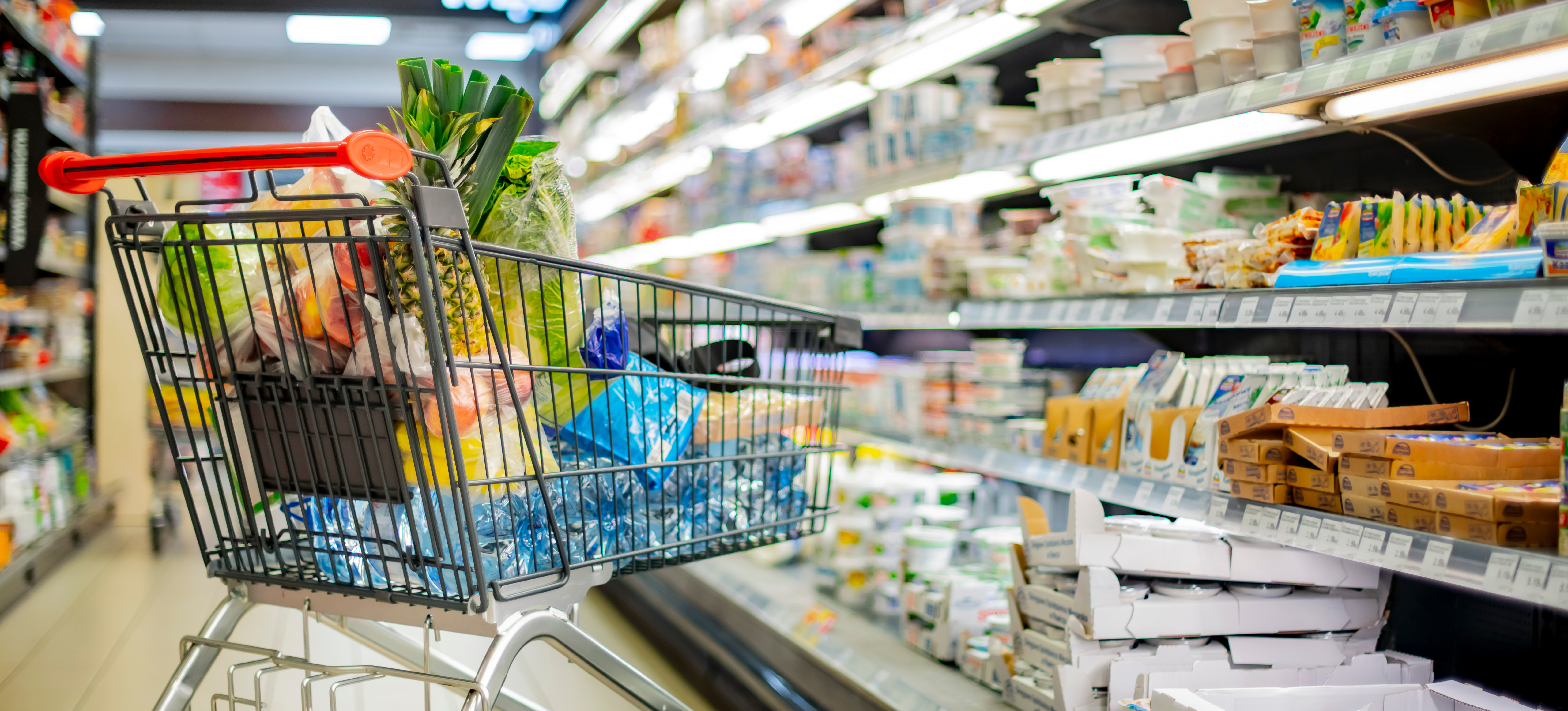 Making groceries…again
